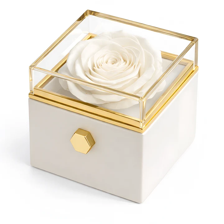 Rosa Eterna con Collar Grabado en Acero Inoxidable